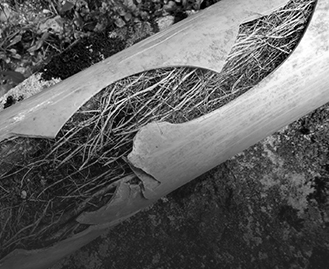 Blocked Drains Greensborough